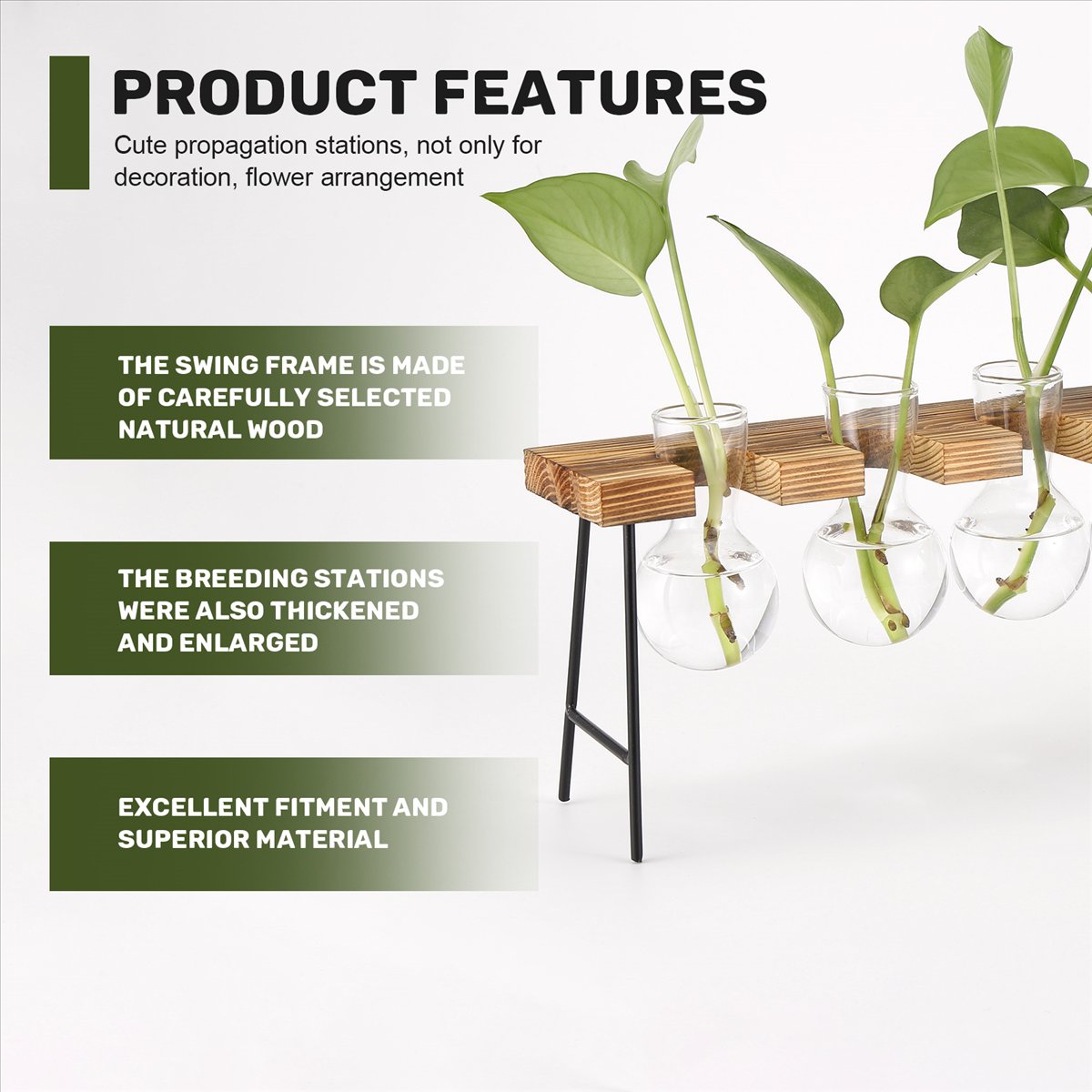 Propagation Station Vase - Stations de propagation ABFS, terrarium de