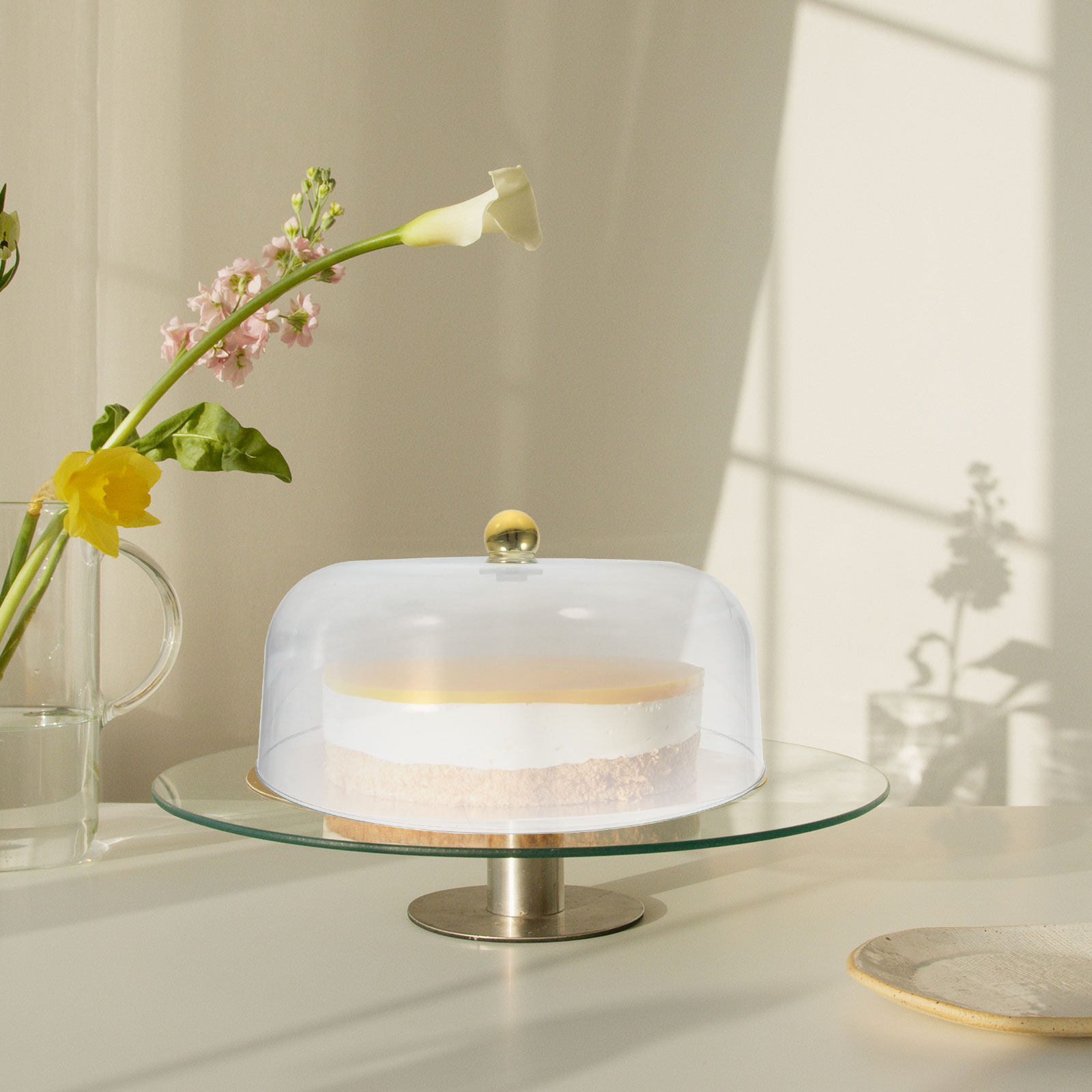 Dôme transparent en plastique  - Plastic Dome Clear avis et prix