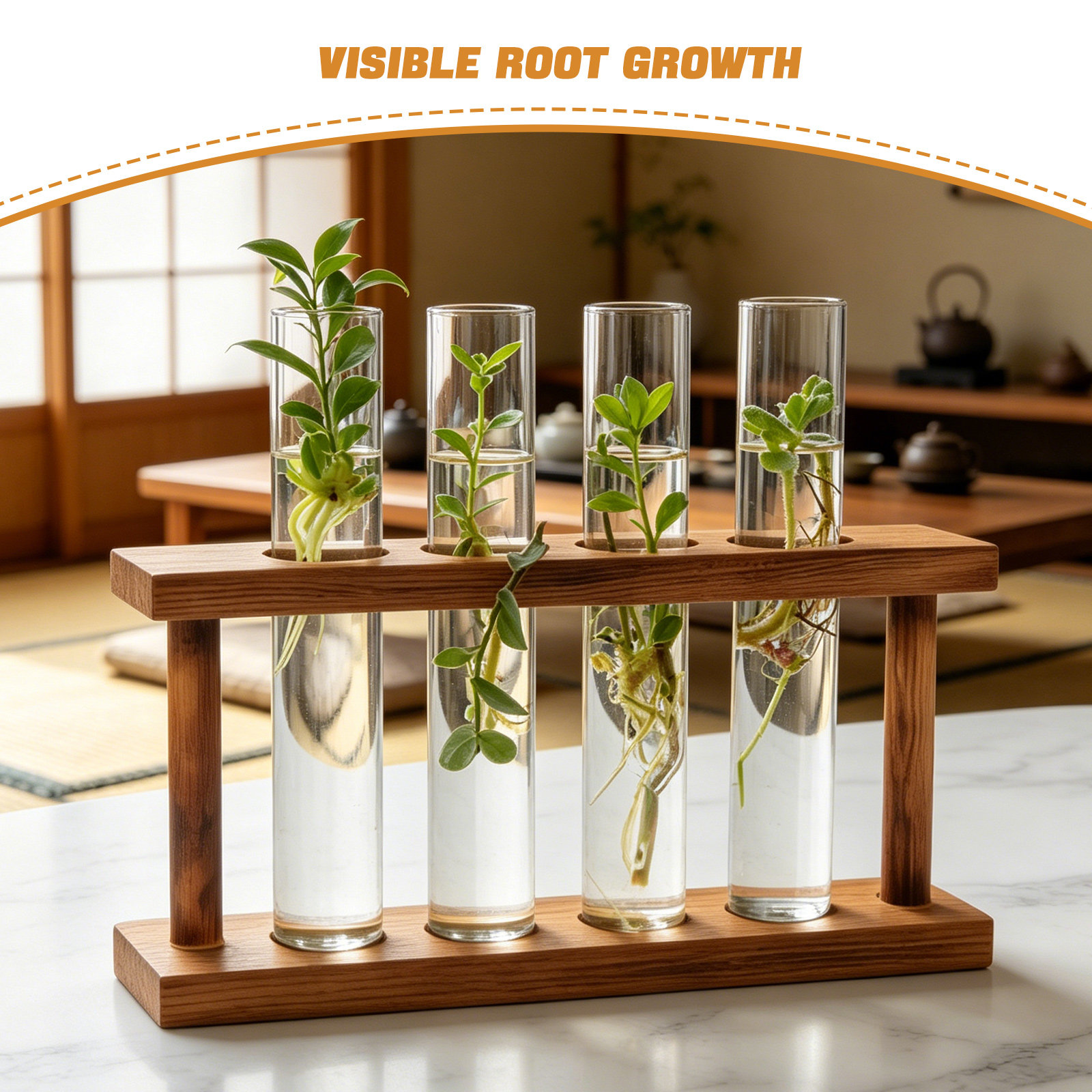 Station de Propagation de Plan - Propagation Station Vase avis et prix