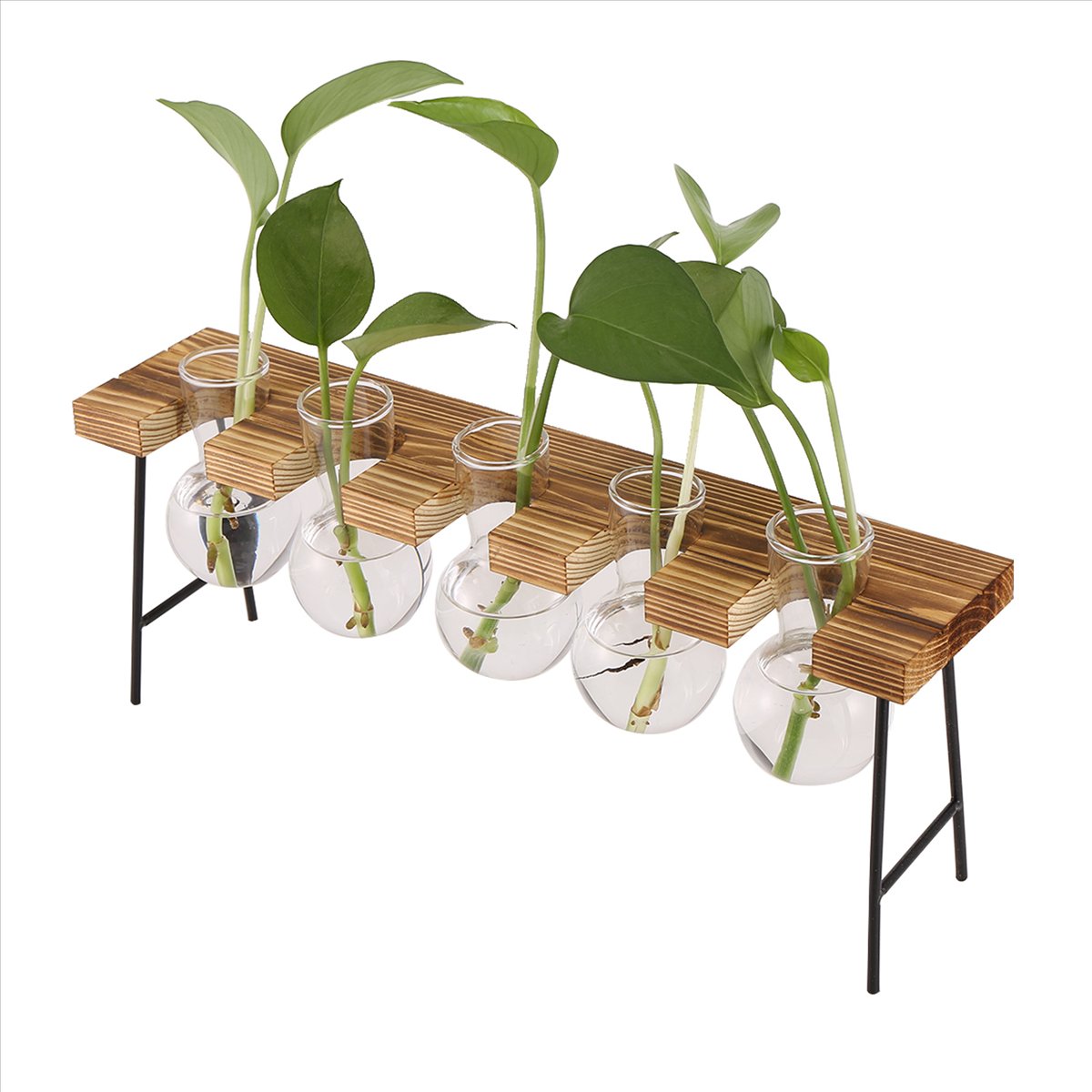 Stations de propagation ABFS,  - Propagation Station Vase avis et prix