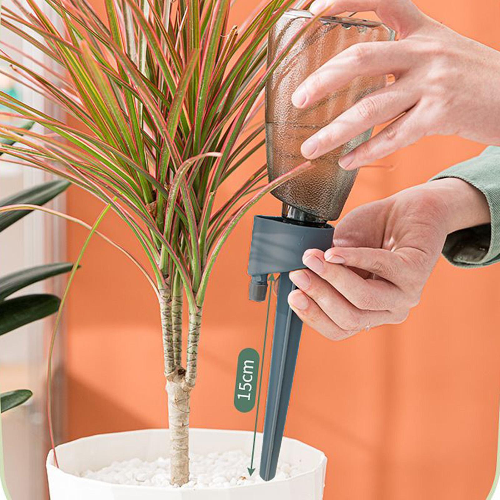 6 pièces - Arroseur automatiqu - Self Watering Insert avis et prix