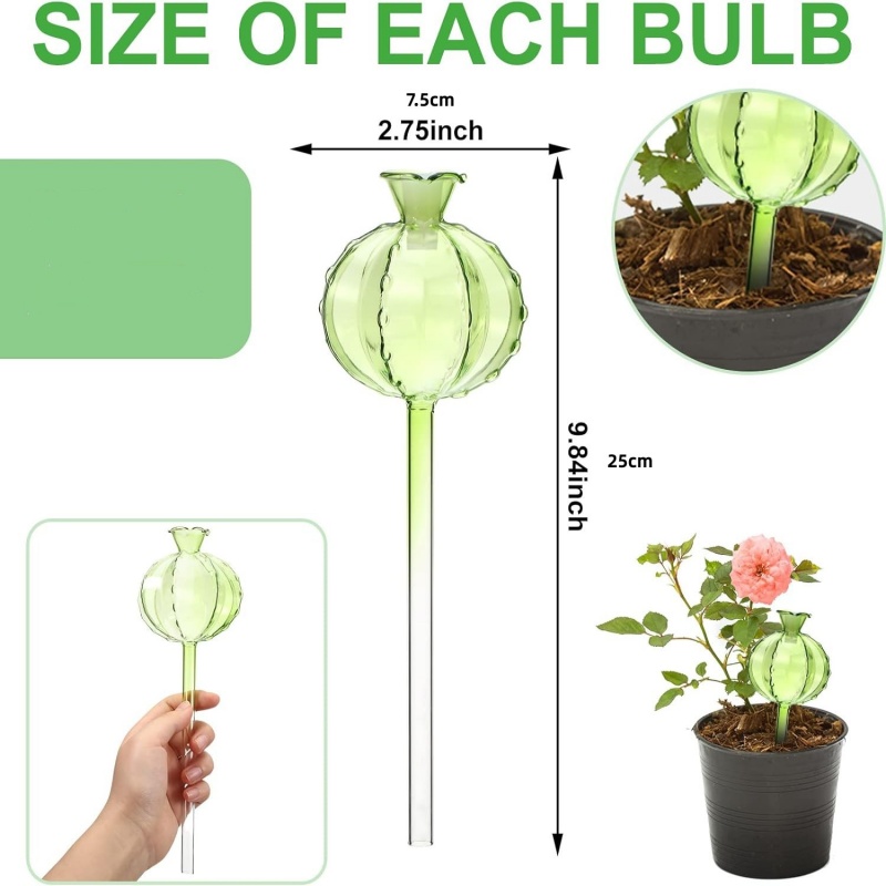 Bulbes d'arrosage automatique  - Self Watering Insert avis et prix
